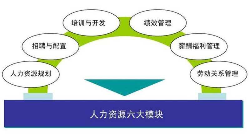 招聘外包公司的服务流程与体系是保证服务质量的关键。以下是一些考察要点：